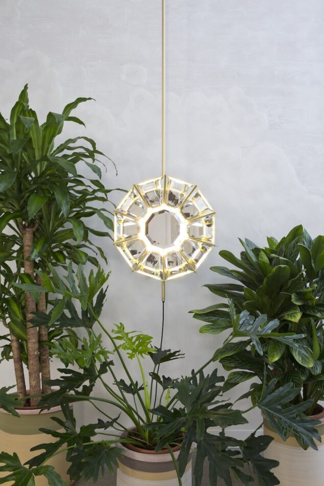Pietro Russo Daffodil light