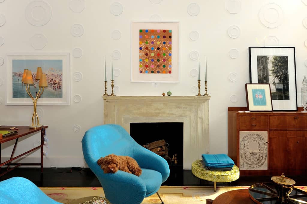 Michael Haverland dog on blue chair in living room