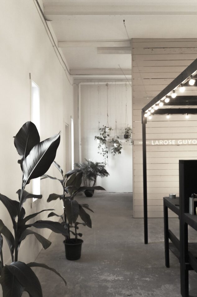 Larose Guyon studio