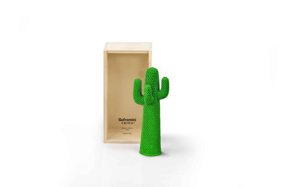 Guframini Cactus