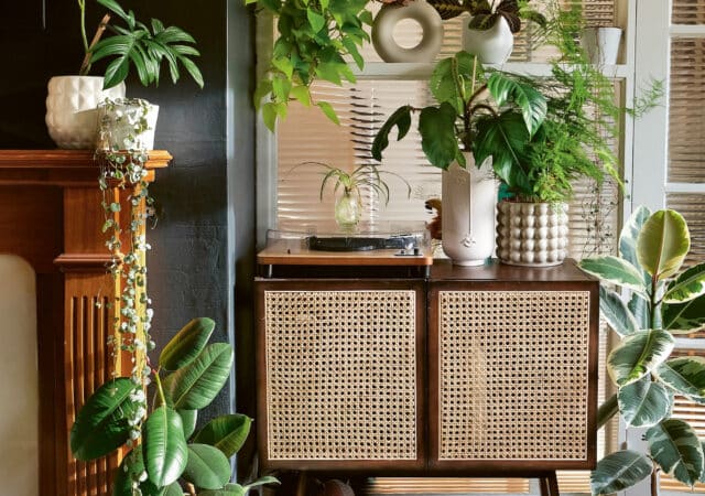 featured image for post: 8 Ways to Breathe New Life into a Space with Plants