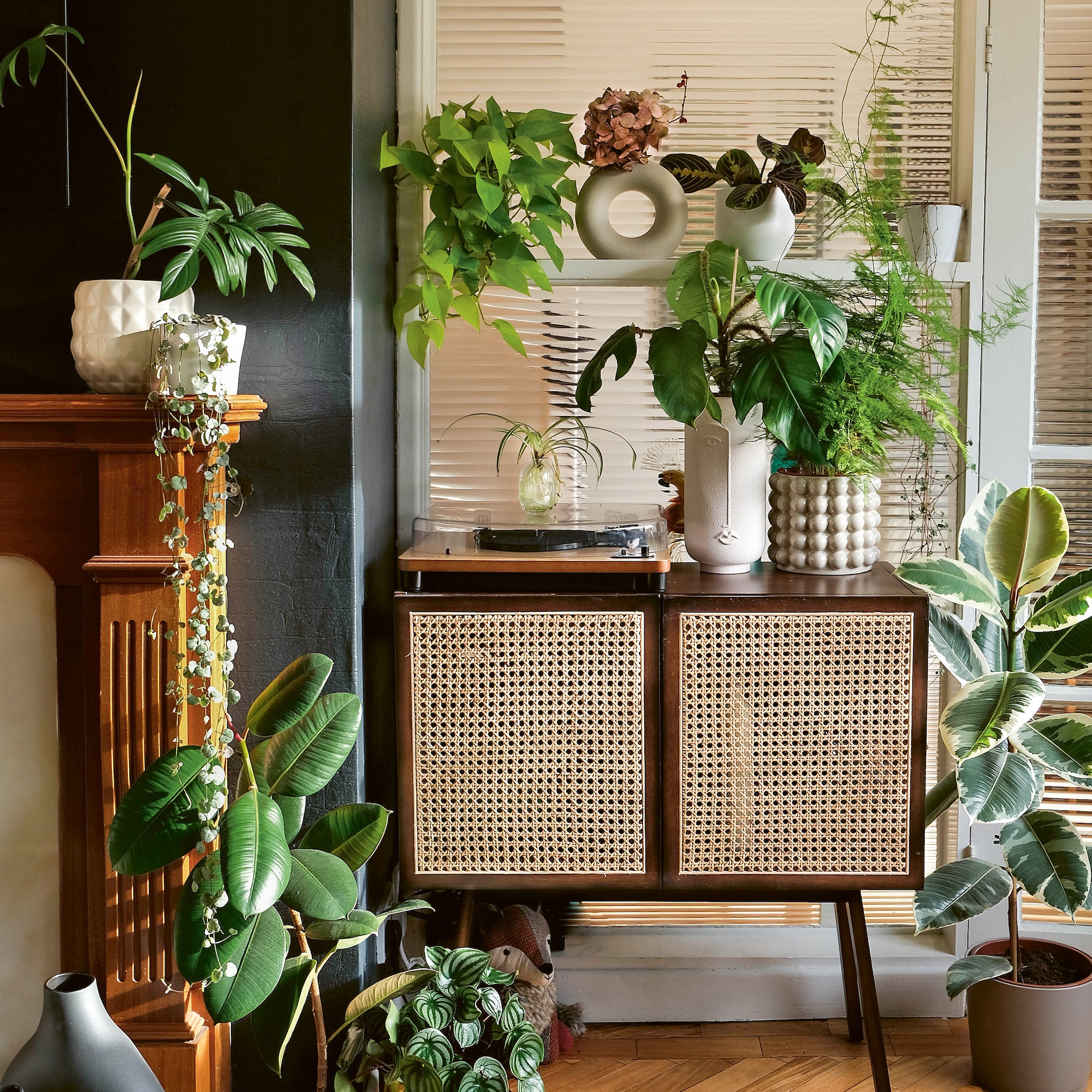 8 Ways to Breathe New Life into a Space with Plants