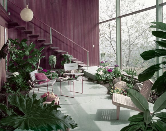 The Knauer house, designed by Rodney Walker, is filled with plants like philodendron. Photo by Julius Shulman,