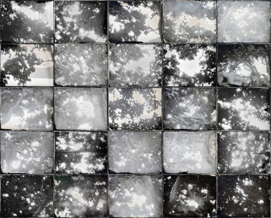Shodon, 2002, by Ichigo Sugawara