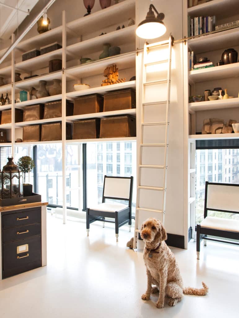 Steven Gambrel's dog Sailor