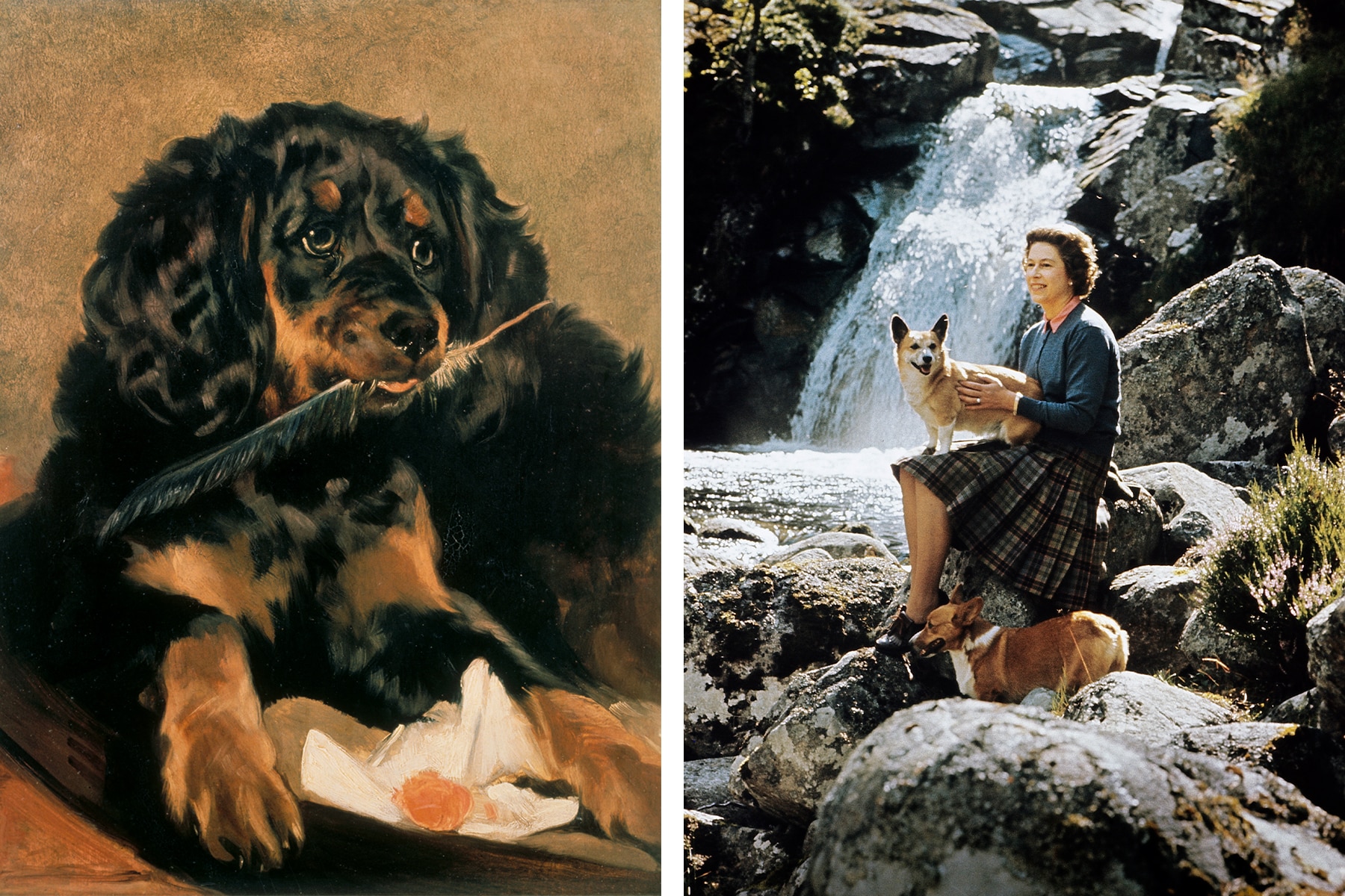 These Canine Portraits Show We’re as Devoted to Dogs as They Are to Us