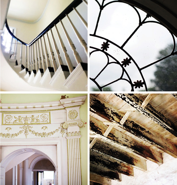 Views of the house