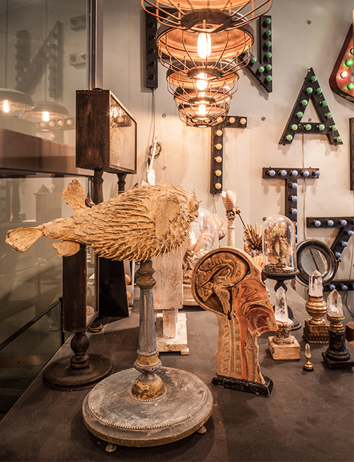Painted and electrified letters from an American theater sign, ca. 1930, form the backdrop for a collection of beautifully mounted medical models and other natural curiosities.