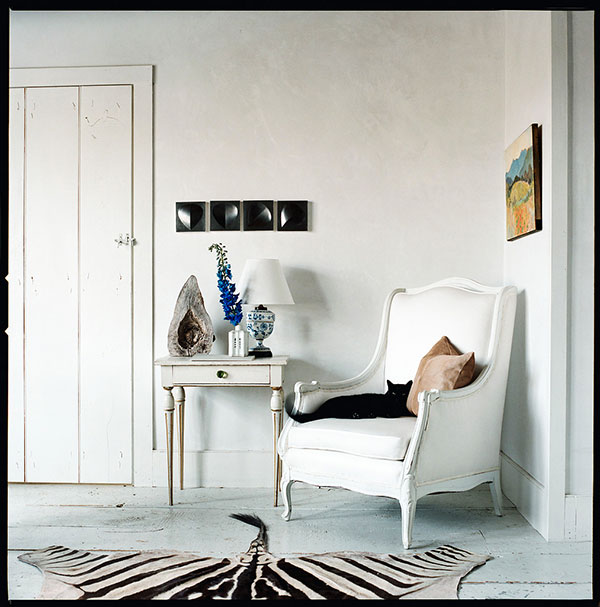 Pancho, the family’s color-coordinated cat, claims a cozy corner in Waldron’s house in New Lebanon, New York.