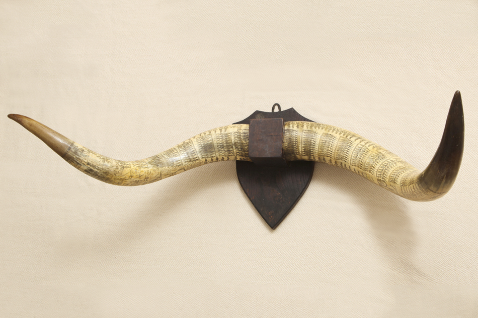 Horns of History - 1stdibs Introspective