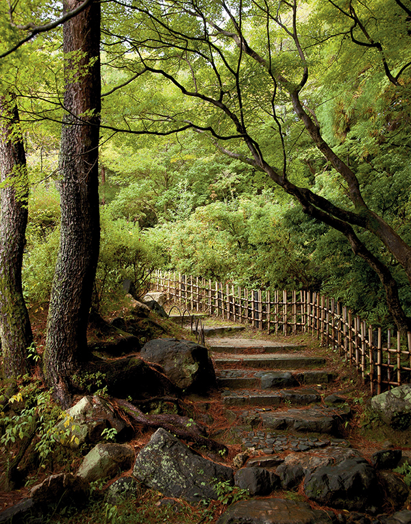 “Maruyama Park,” Pico Iyer writes, “quickly came to embody for me precisely the sense of secludedness, the subtlety — the rich reticence — I’d come to Kyoto to try to absorb.”