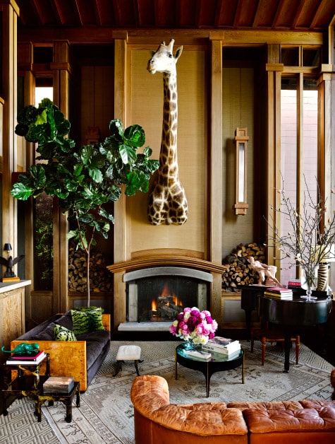 taxidermy giraffe in living room