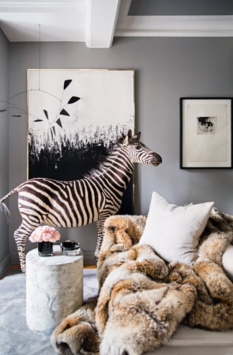living room zebra taxidermy