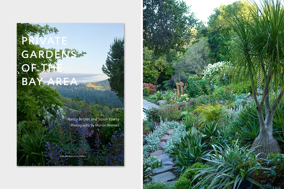 Bay Area garden