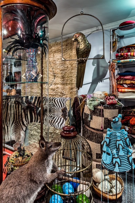 taxidermy and textiles at Creel and Gow