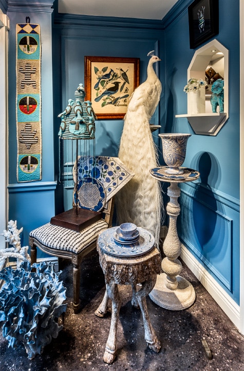 taxidermied albino peacock in blue room at Creel and Gow
