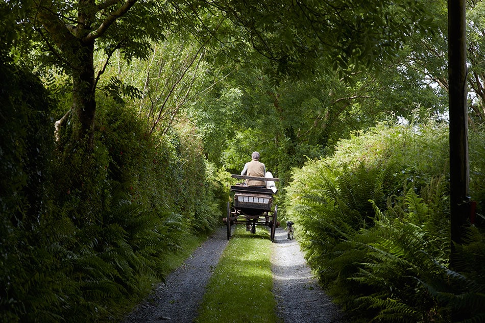 Jeremy Irons and his dog Smudge ride in a carriage on the property around the castle.