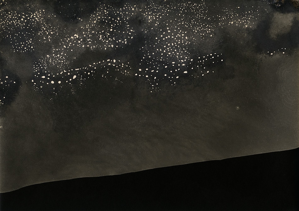 Defender Argo, expired September 1911, processed 2014, 2014, by Alison Rossiter