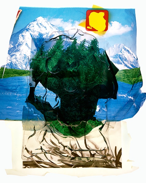 All Consumed #37, 2017, by Gary Emrich