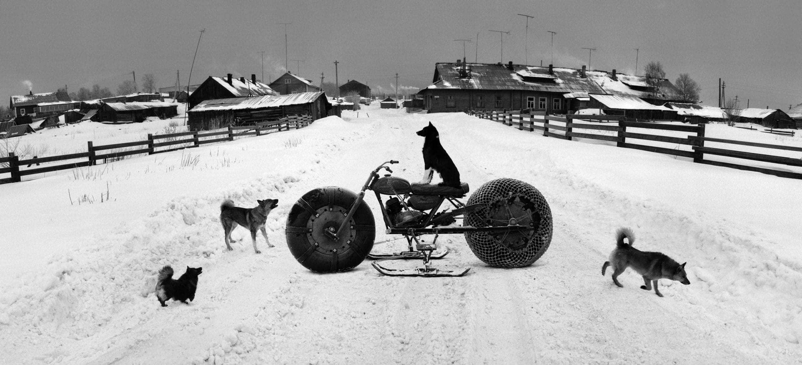 Solovki, White Sea, Russia (Dog on Motorbike), 1992