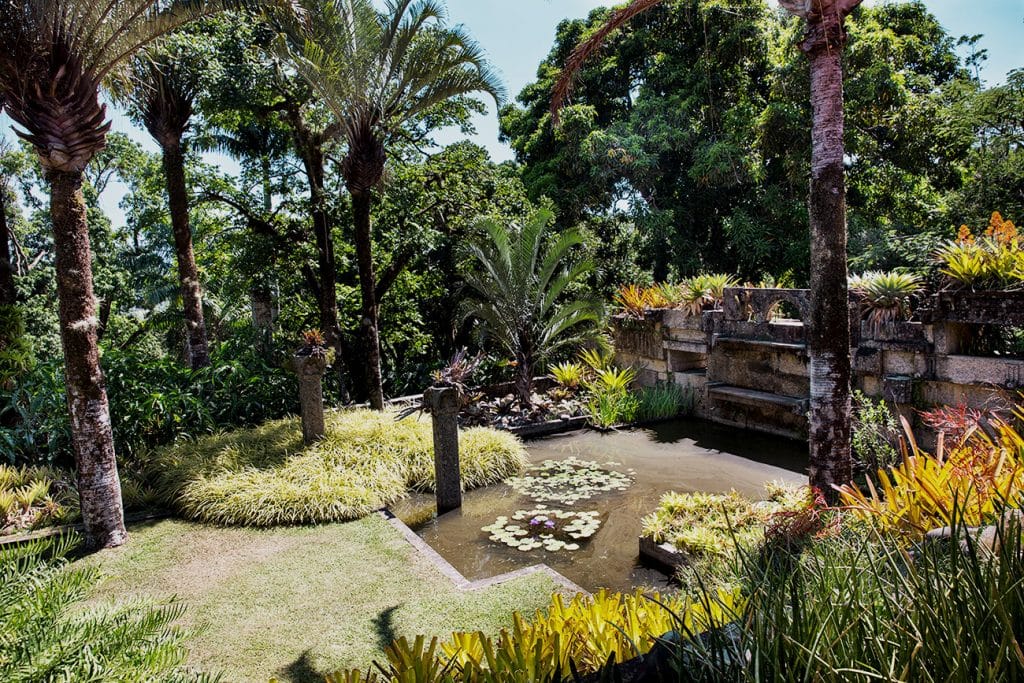 Garden at Burle Marx's Estate in Rio de Janeiro