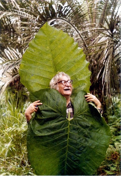 Roberto Burle Marx Portrait