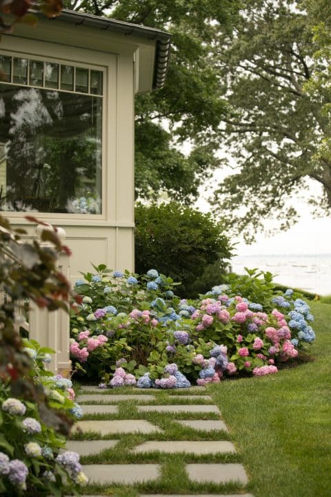 Westchester flowering bushes by Janice Parker