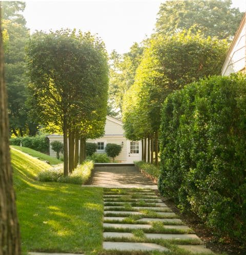 Westchester yard by Janice Parker
