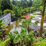 Roberto Burle Marx’s Bold Brazilian Landscape Design Comes to New York