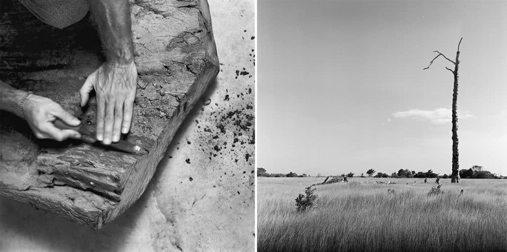 At left, artist Hugo França works a piece of wood. At right, a lone, barren tree in a field in Trancoso, Brazil.