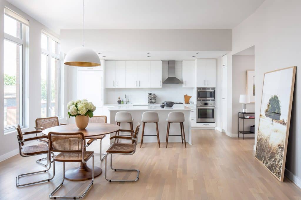 Kitchen of the MDD Designed D.C. apartment