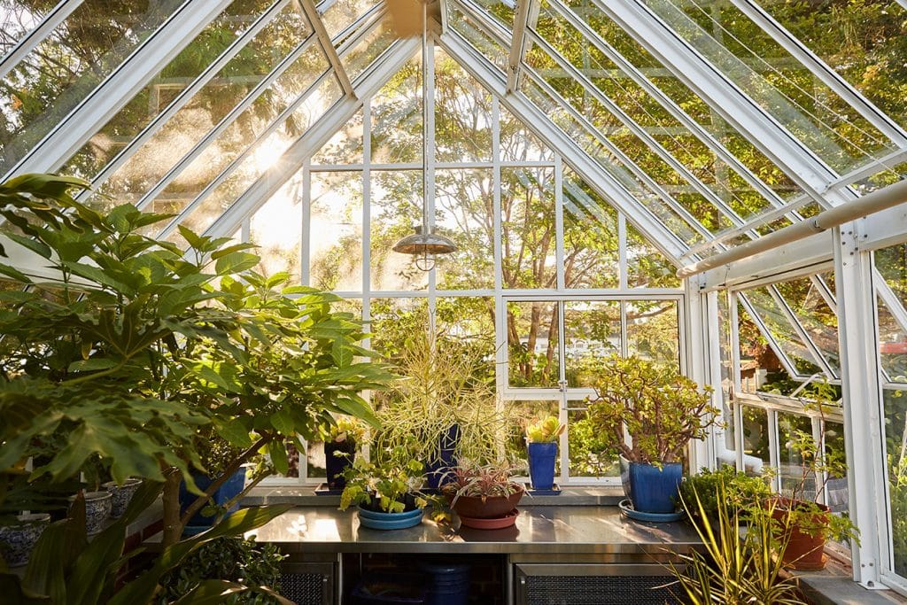 Greenhouse at the Maryland Property