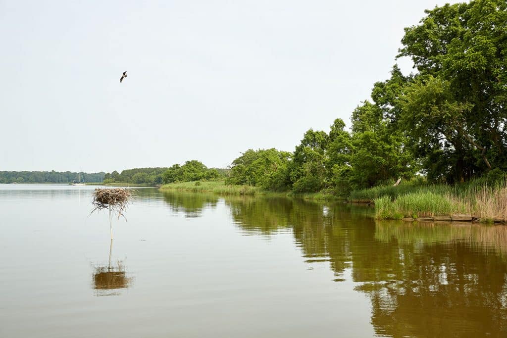 The waterfront at Reed Creek Farm