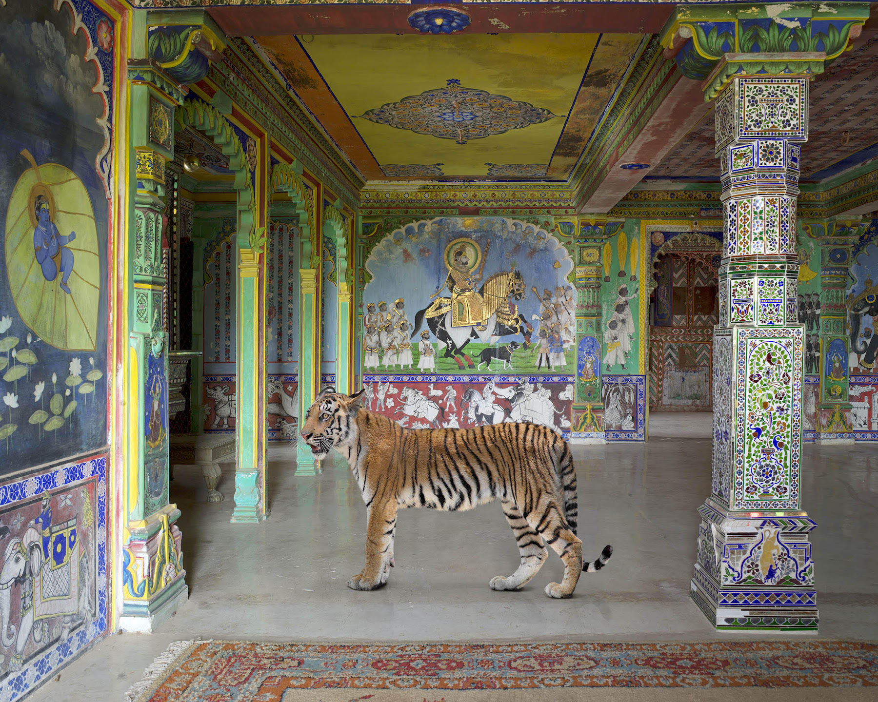In Karen Knorr’s Sumptuous Photos, Exotic Animals Appear in Opulent Palaces