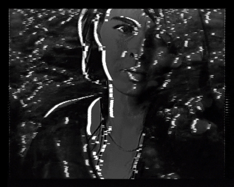 Still from I Am Sea Ice, 2022, by Ina Vare